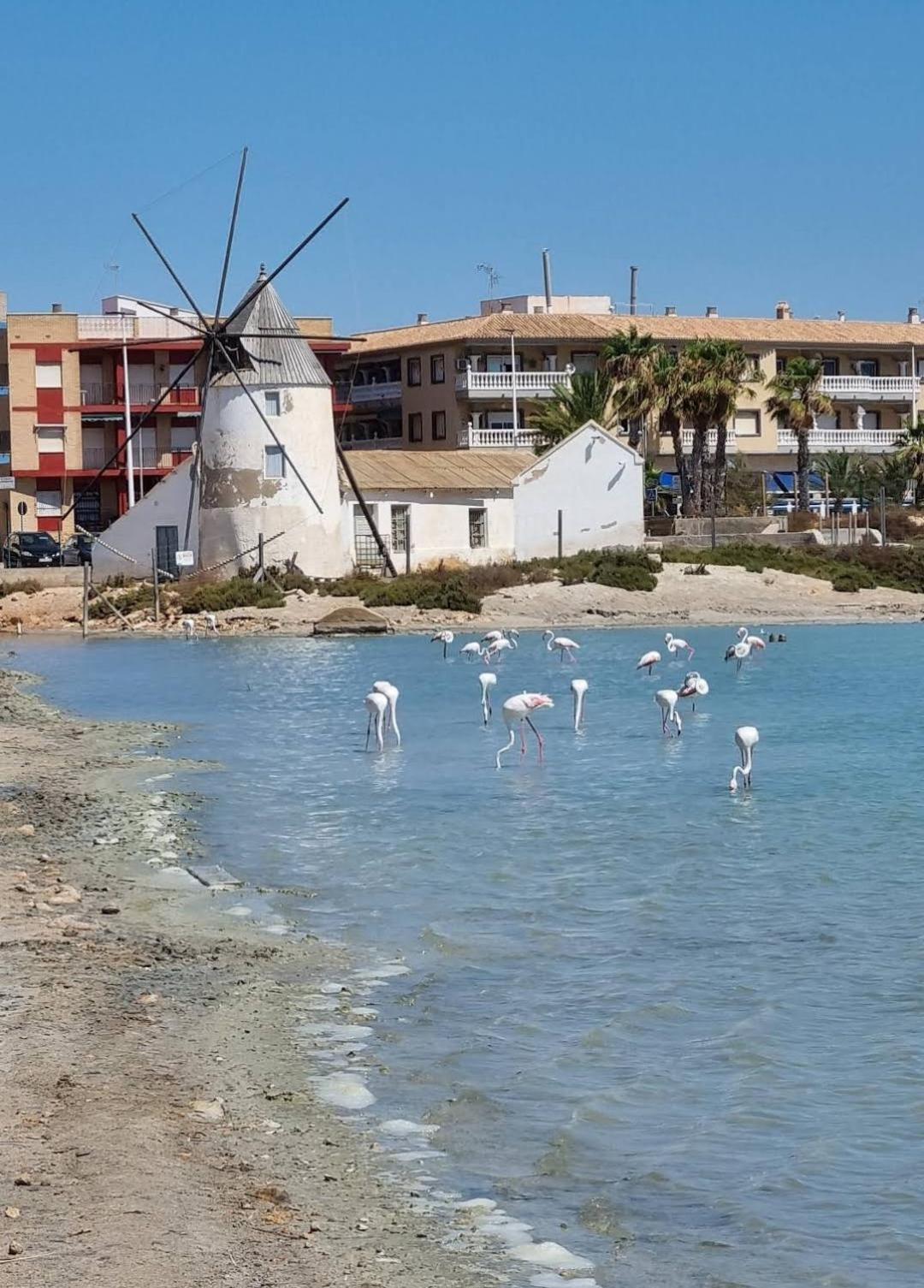 Casa Del Sol Appartement San Pedro del Pinatar Buitenkant foto